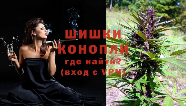 гидра Елабуга