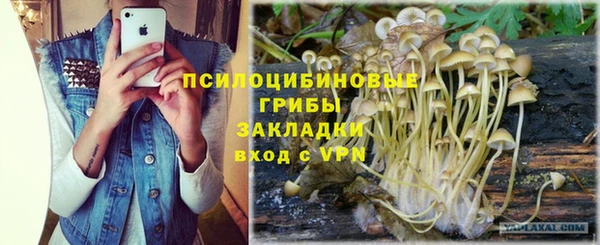 кокаин перу Богданович