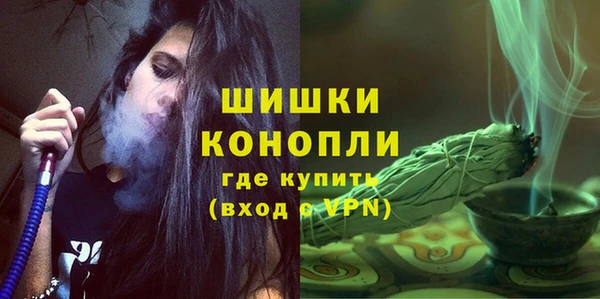 кокс Богородицк