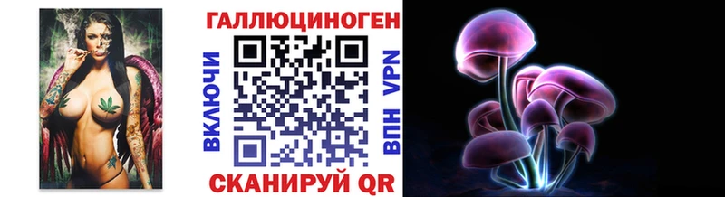 Псилоцибиновые грибы мицелий  купить  цена  Дубовка 